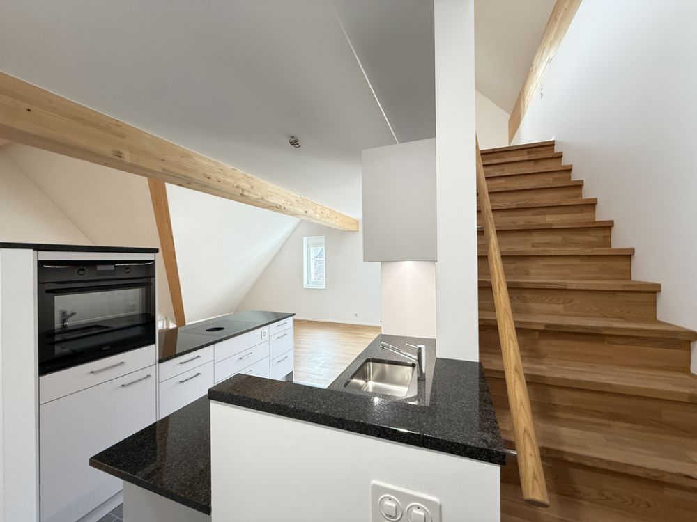 Neubau-Wohnung im historischen Schlossensemble, 20 Min. von Basel - Aufgang Galerie