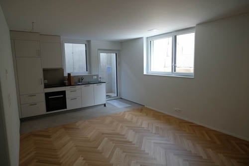 Top Souterrainwohnung im Grünen nur 5 Gehminunten vom Bhf Brugg - Bild 7