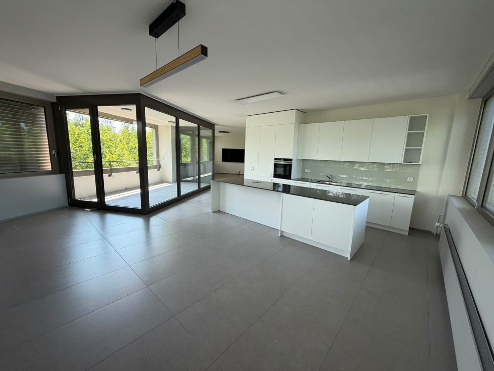 4.5-Zimmer helle und moderne Wohnung - Bild 1