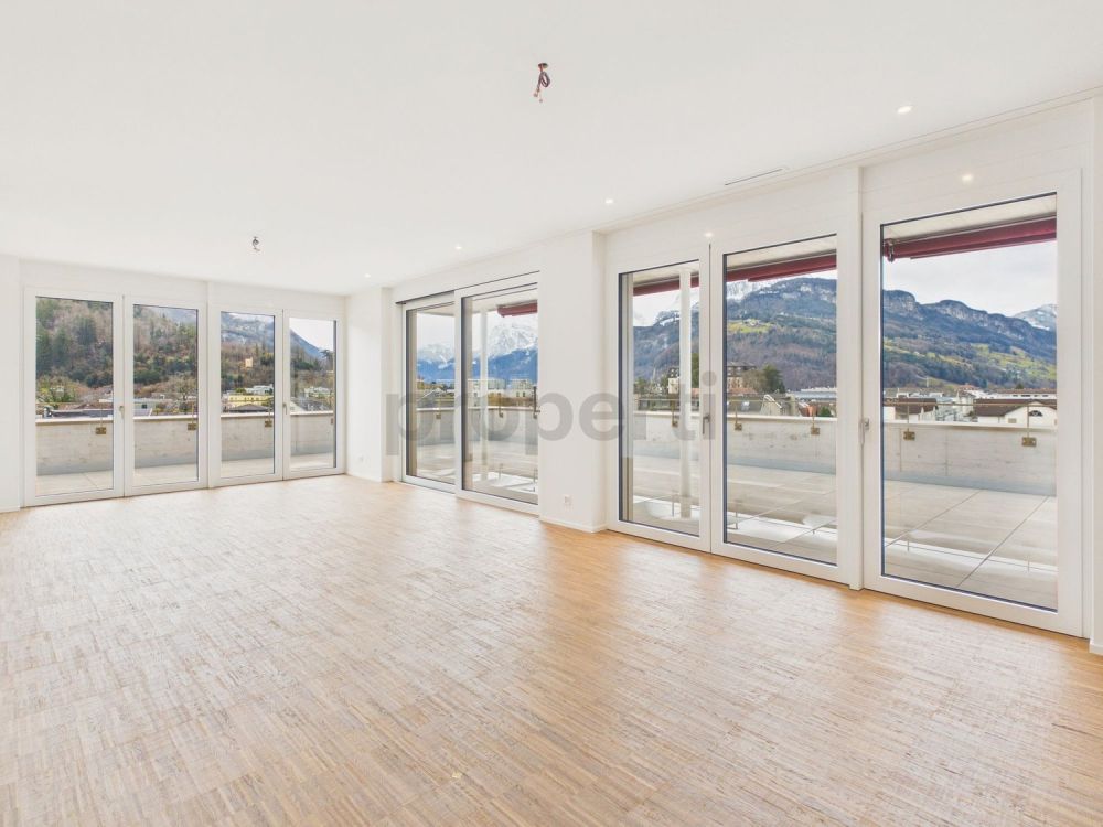 Moderne 4.5-Zimmer-Attikawohnung mit Balkon, Brunnen - Image 2