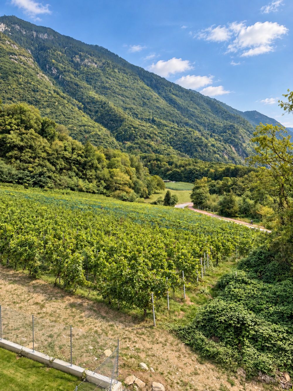 Meraviglioso Attico di 3.5 Locali con Vista Panoramica a Lumino - Bild 11