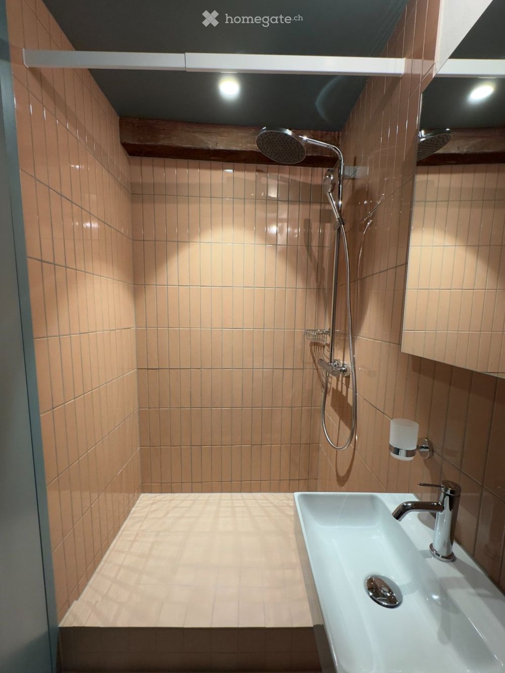 Erstbezug Dachwohnung Loft mit Galerie - Bild 5