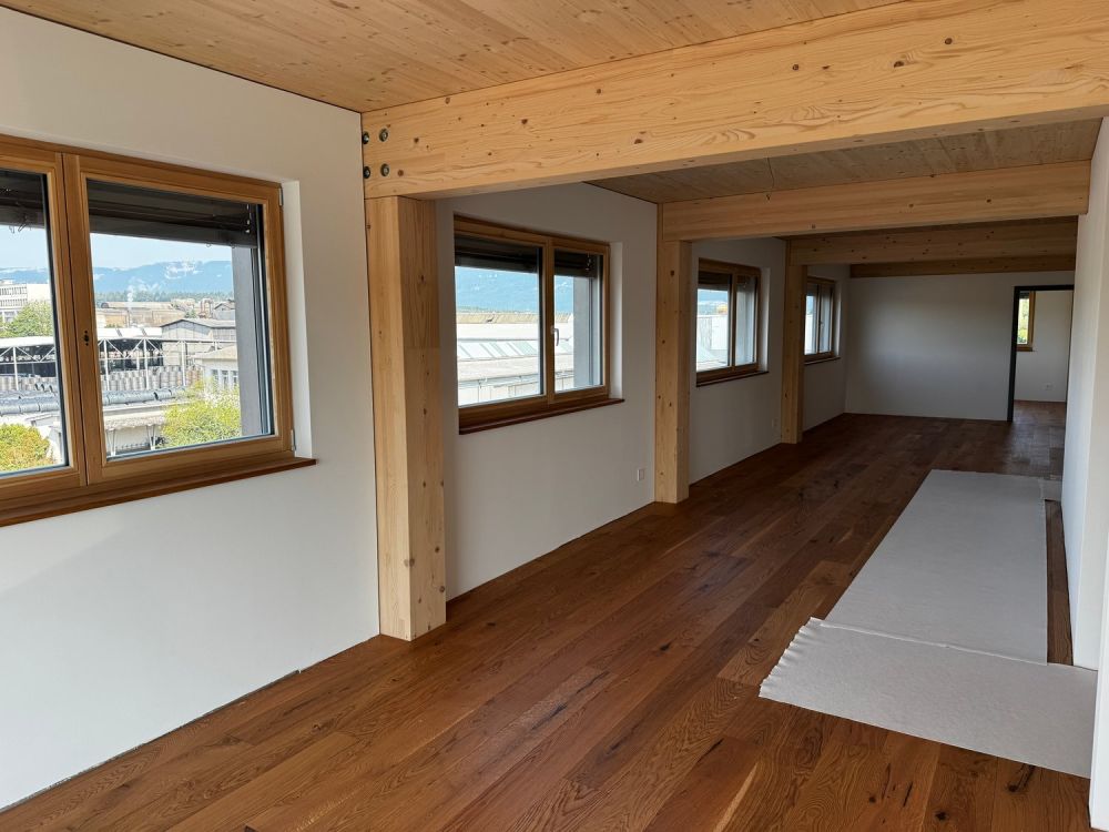 3.5-Zimmer-Attikawohnunng mit Sommerkühlung zu vermieten - Bild 3