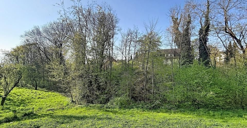 2½ EN DUPLEX - Neuf au calme - Appartement 2.5 pièces - image - 5