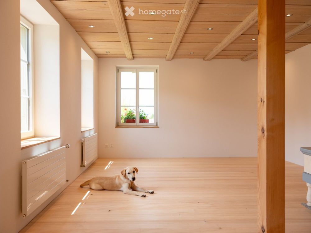 Neue moderne 2.5 Zi. Wohnung mit Charme in Bauernhaus im EG - Bild 10