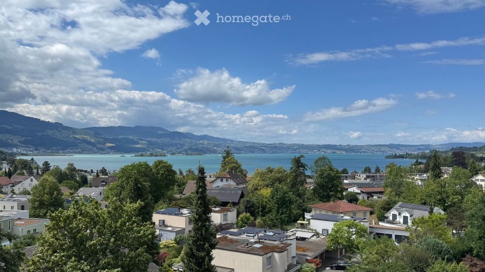 Highend: 4 1/2-Zimmer-Dachwohnung mit unverbaubarer See- und Bergblick in Rapperswil-Jona - Bild 1