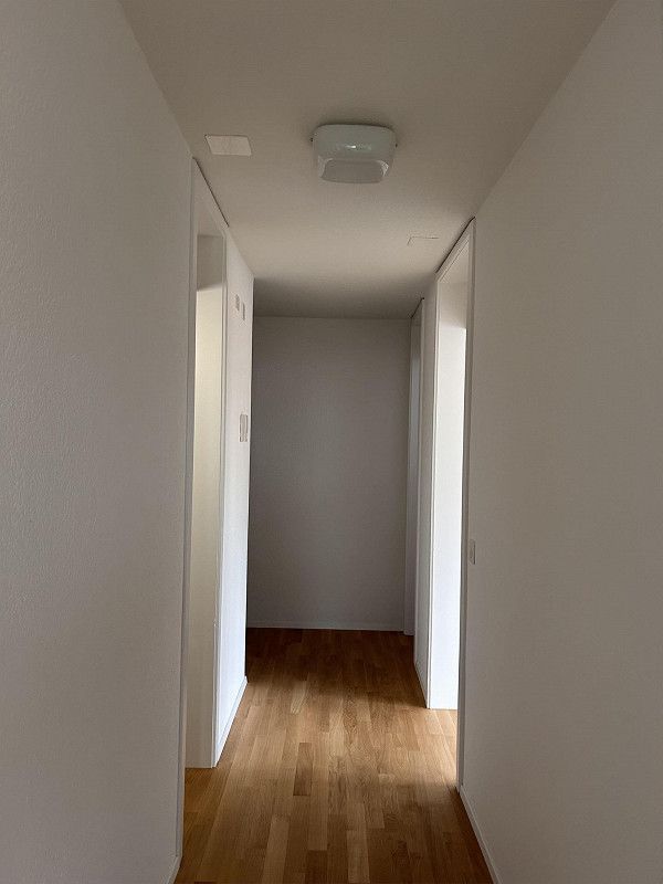 Modernes Wohnen im Grünen: Erstbezug nach Sanierung - Bild 4