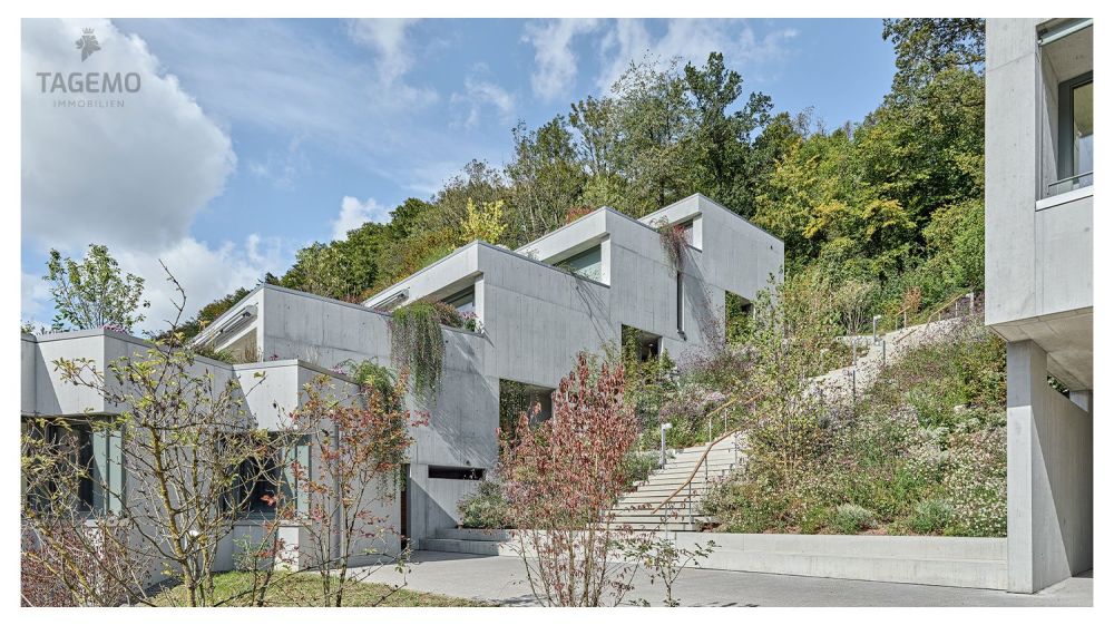 6.5 Zi.-Duplexwohnung – Sichtbeton-Meisterwerk - Bild 2