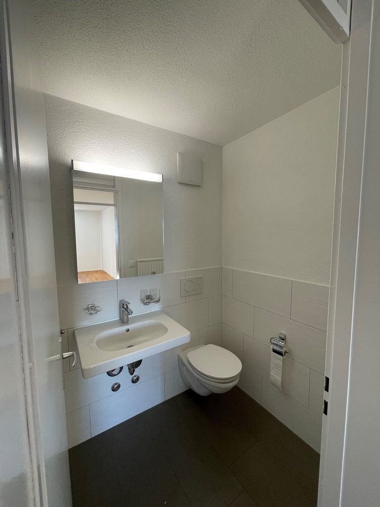 Ihre neue Wohnung mit Aussicht auf das Rheinfallbecken! - WC.jpg
