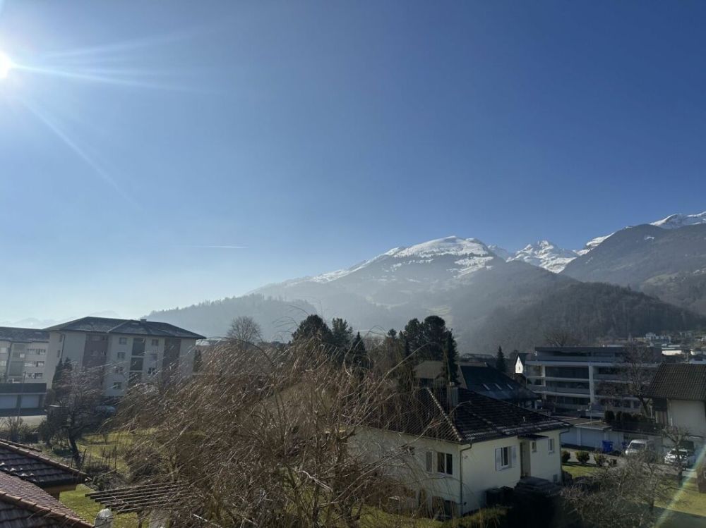 attraktive 4.5 Zimmer-Attikawohnung mit herrlichem Ausblick - Bild 9