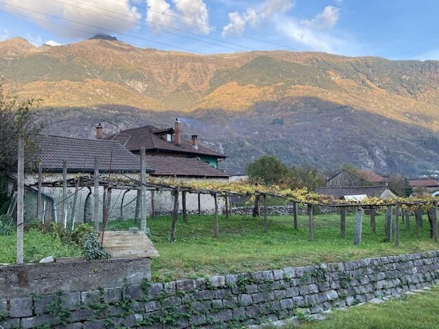 Genossenschaftliche Neubau-Siedlung mit 1½ - 3½ Zimmerwohnungen - Bild 7