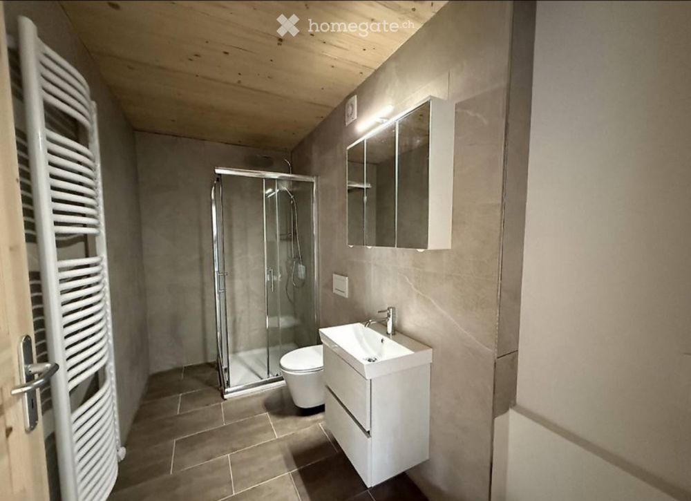 3.5 Zimmer Neubauwohnung - Bild 3