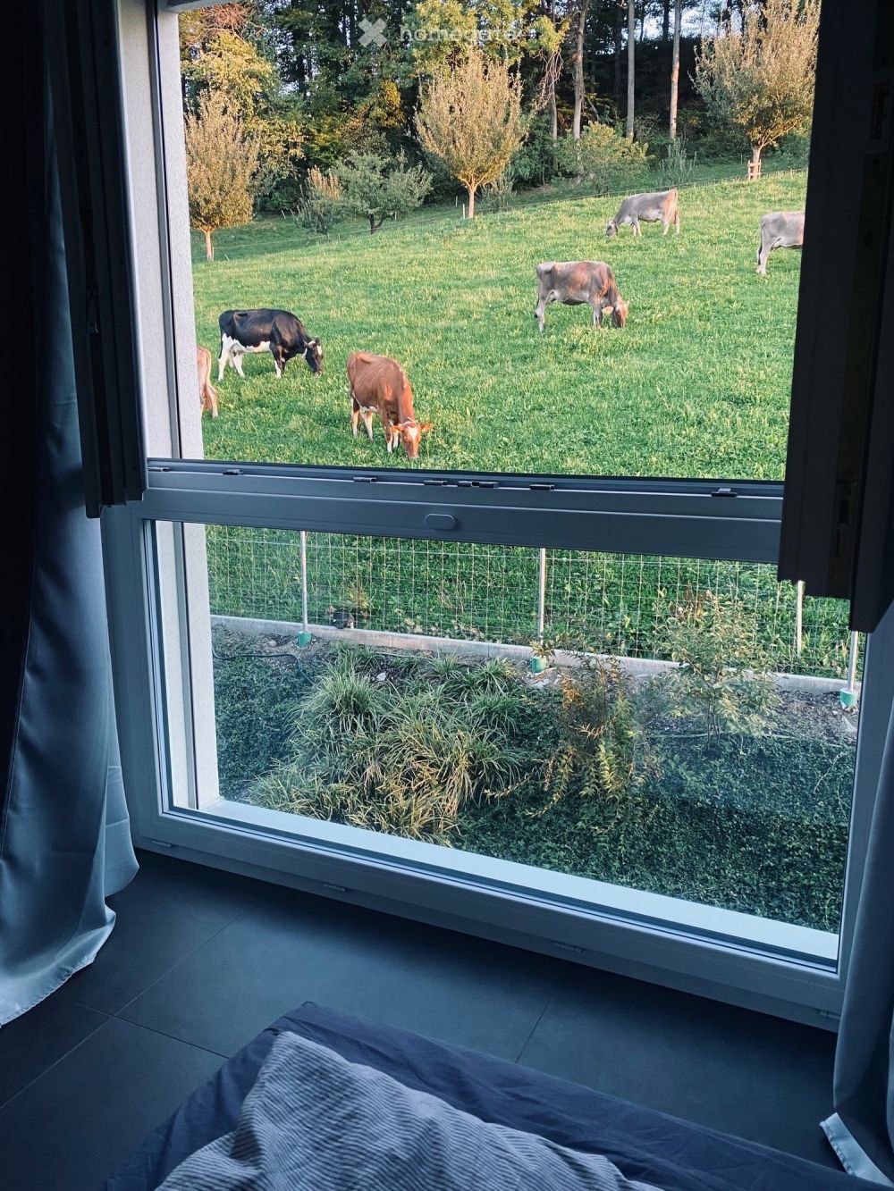 WOHNEN WIE IM EIGENHEIM - Bild 8