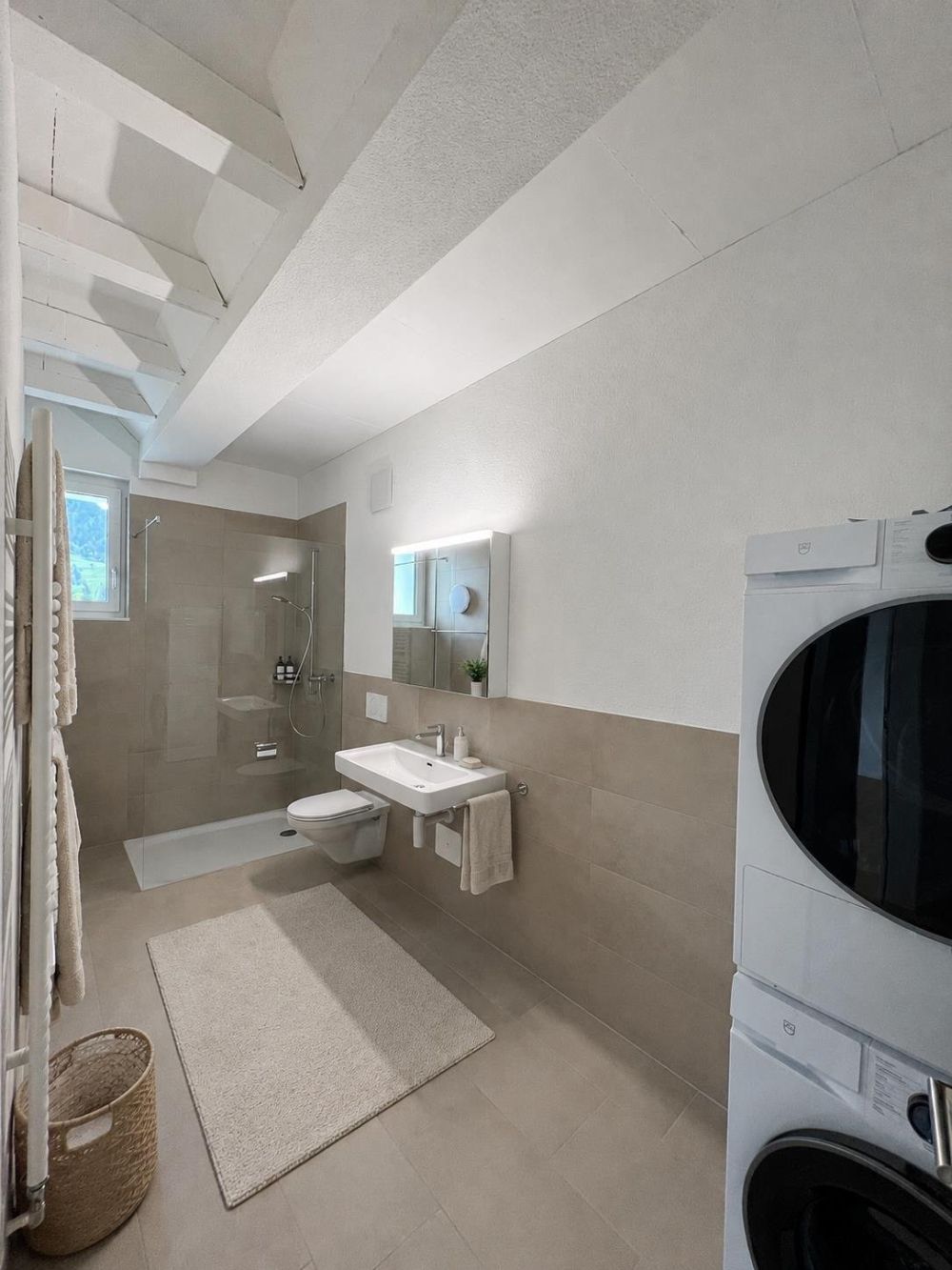 Loftfeeling pur - Ihr neues Zuhause im Toggenburg - Dusche/WC mit Waschturm