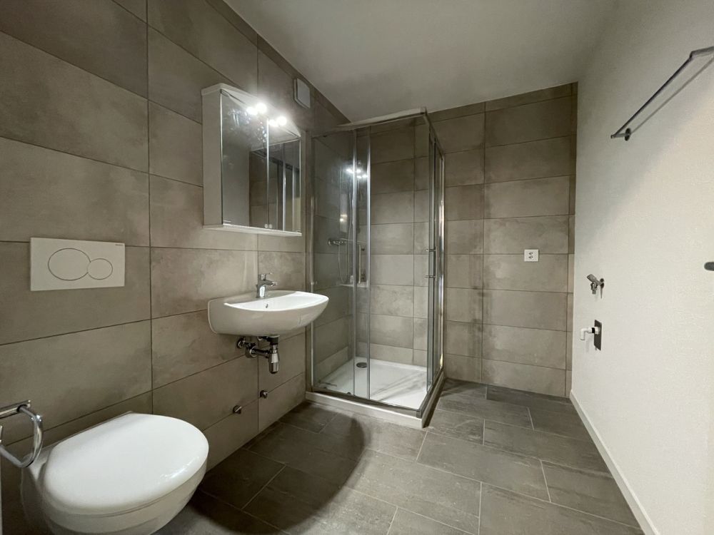 Magnifique 3.0 pièces à louer - Bild 6