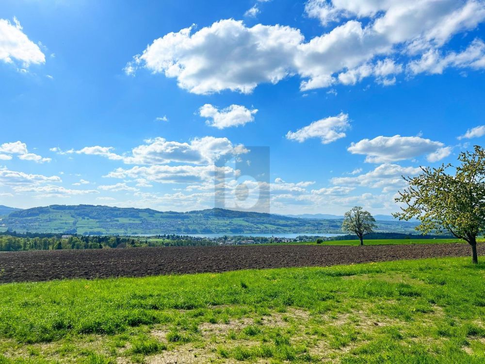ATEMBERAUBENDE AUSSICHT ZUM ENTSPANNEN - Bild 1