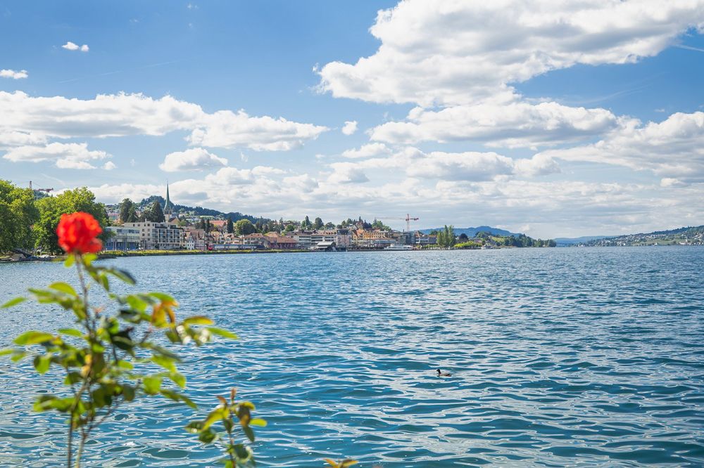 Einmalige Gelegenheit - Wohnen auf der Giessen-Halbinsel in Wädenswil - Bild 4