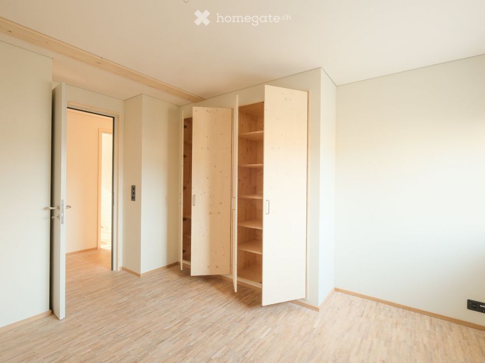 Erstvermietung 4.5  Zimmer Wohnung mit grossem Balkon, Werkraum und Reduit - Bild 9