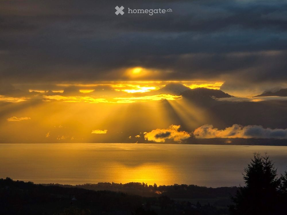 Magnifique appartement de 3.5 pièces avec balcon à Arzier-Le Muids - Bild 9