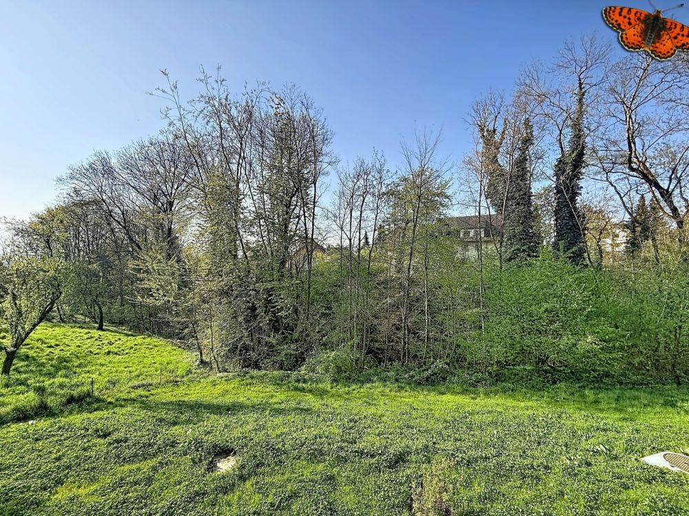 2½ EN DUPLEX - Neuf au calme - Vue