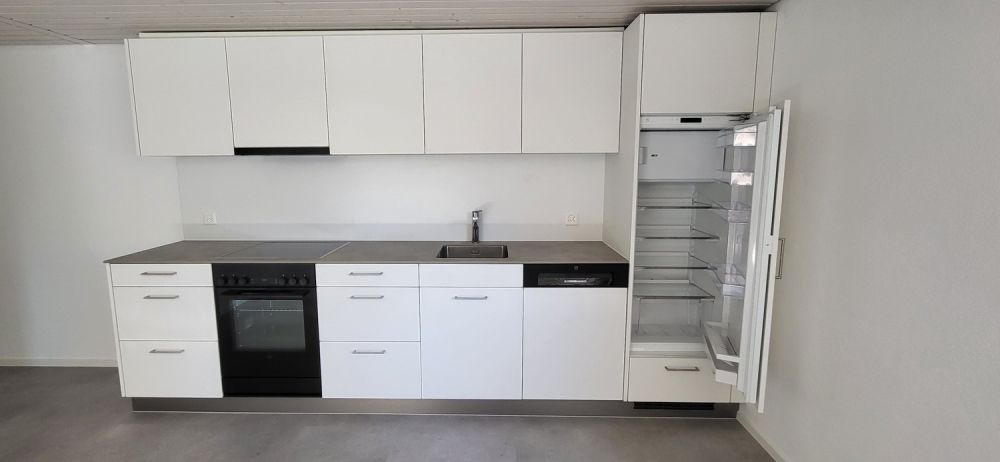 Erstvermietung: Helle und grosszügige 2.5-Zimmer Wohnung in Hochdorf - Bild 2