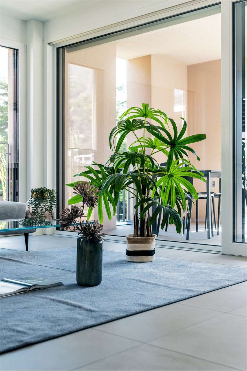 Nuovo Appartamento 2.5 Locali con Giardino - Bild 6