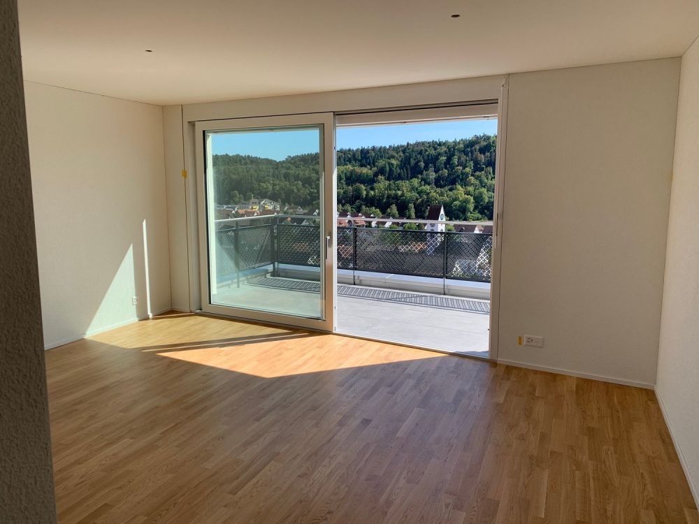 Moderne neue Attikawohnung an attraktiver Hanglage von Glattfelden – Wohnen im Grünen mit Komfort - Bild 4