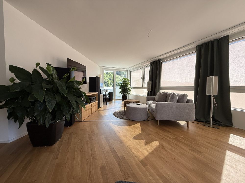 BEFRISTET: Möblierte 4.5-Zimmer-Wohnung mit Dachterrasse und Aussicht in Luzern - Bild 5