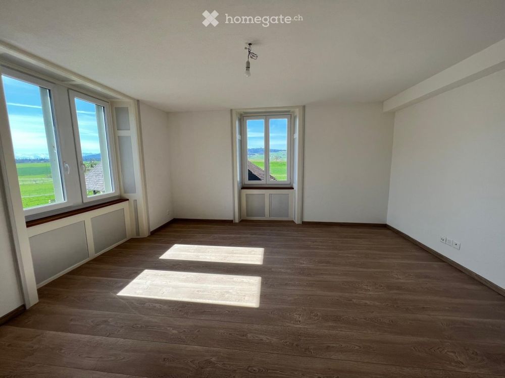Wohnung in freistehender Jugendstilvilla mit Charakter – 5.5 Zimmer, 160 m², Garten - Bild 6