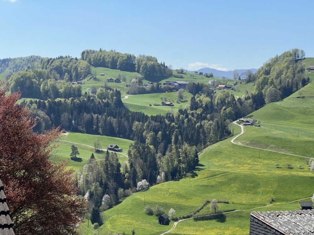 Luxusdachwohnung mit traumhafter Aussicht - Bild 1