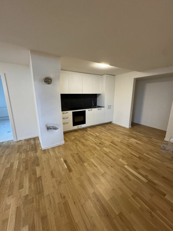 ERSTVERMIETUNG, kernsanierte 2.5 Zimmer Wohnung - Bild 2