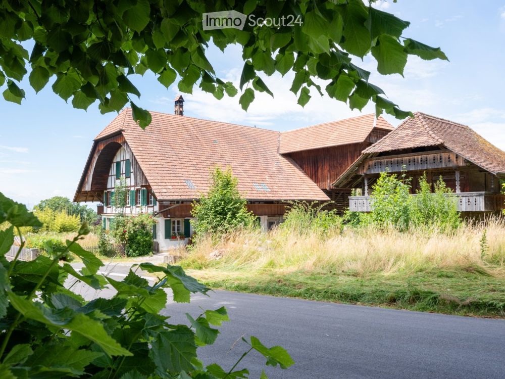Neue moderne 2.5 Zi. Wohnung mit Charme in Bauernhaus im EG - Bild 1