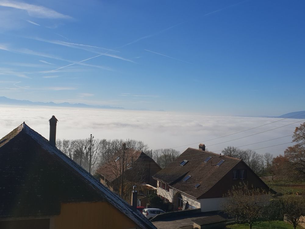 CHAMPAGNE 14, Appartement neuf de 4.5 pièces avec 2 salles d'eau - Bild 12