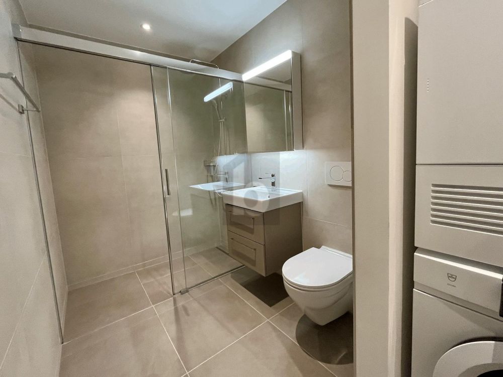 ERSTBEZUG: GROSSER BALKON, SICHT AUF DEN ÜETLIBERG - Bild 5