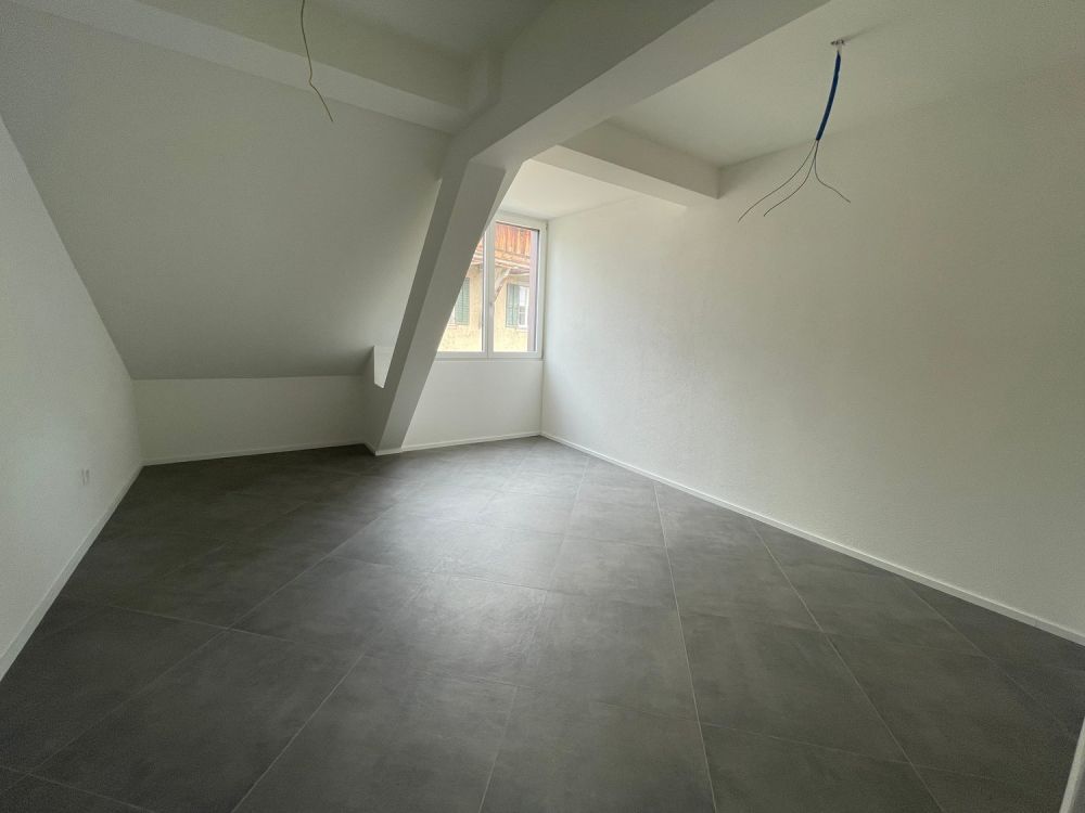 4.5-Zimmerwohnung in kernsanierter Liegenschaft in Hallau - Bild 4