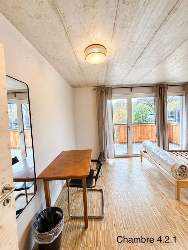 Nouvelle colocation haut de gamme - Chambres meublées avec balcon et terrasses à 2 pas de la gare de Châtel-St-Denis - Bild 12
