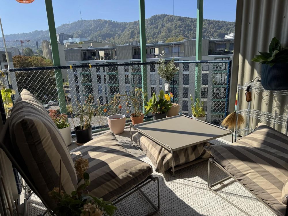 3.5 Zimmerwohung in Zürich Albisrieden zur Untermiete für 2 Monate - Bild 4