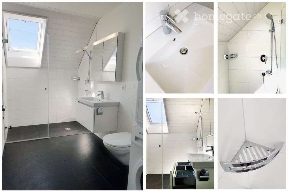 Sehr grosse, exklusive Wohnung mit modernem Einfamilienhaus-Charakter - 1 von 3 Bädern mit grosser Dusche und Waschturm. Direkter Zugang zu einem der Zimmer.