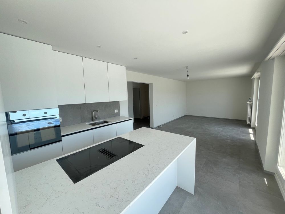 Erstbezug nach Totalsanierung – moderne 2.5-Zimmer-Attikawohnung mit 2 grossen Terrassen in Olten - Bild 2