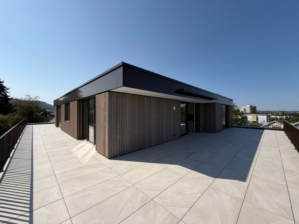Moderne 2.5-Zimmer-Attikawohnung im Neubau mit grosszügiger Terrasse - Bild 1