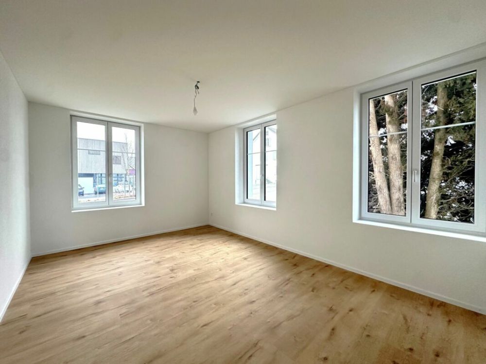 Modern sanierte 3.5 Zimmer-Mietwohnungen mit Balkon - Erdgeschoss & Obergeschoss