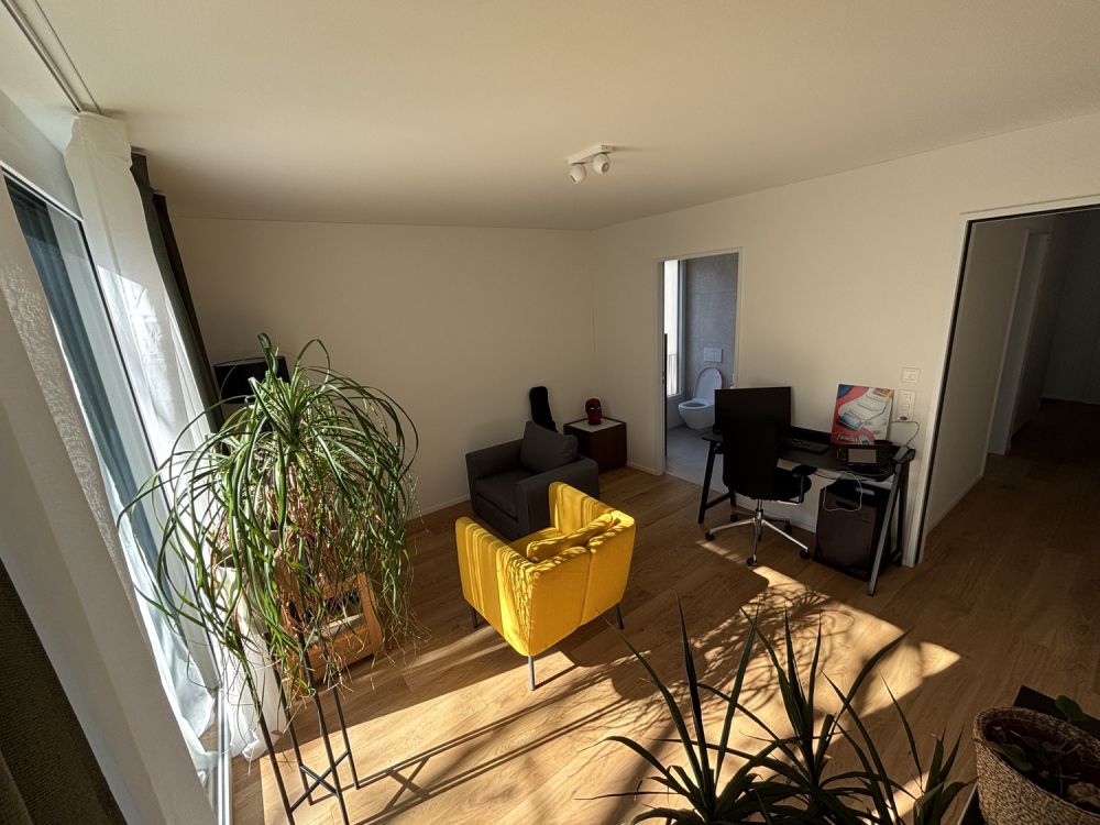 Room in Riehen (Basel) — new-build, perfect for weekday commuter / expat - Bild 7