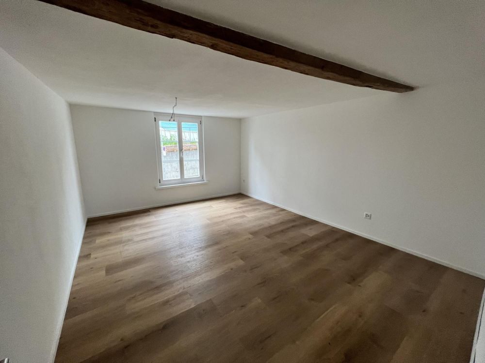 Erster Mietzins geschenkt: Neu sanierte 3.5-Zimmerwohnung zu vermieten - Bild 13