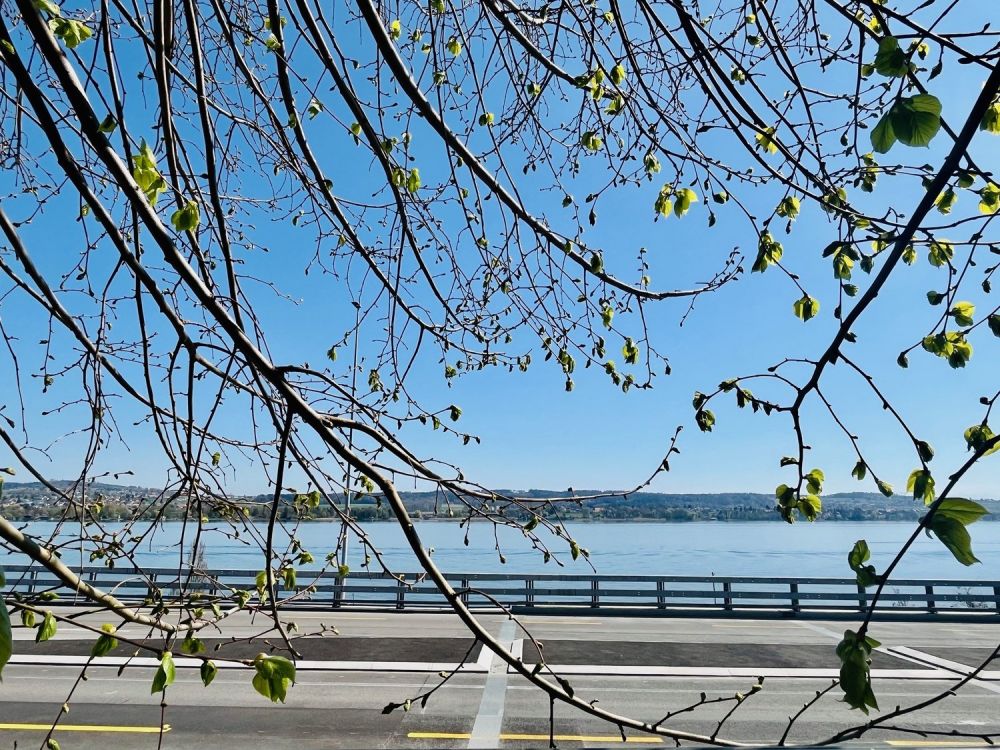 Aussergewöhnliche Loftwohnung mit Blick auf den Bielersee, ca. 111m2 - Bild 12
