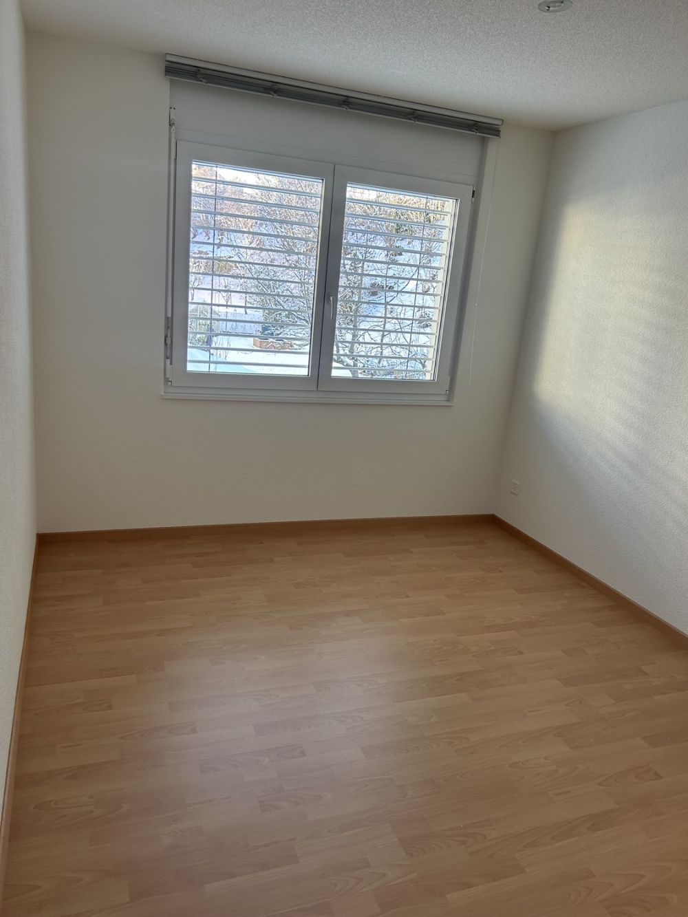 4.5-Zimmer Wohnung in Kollbrunn - Bild 6