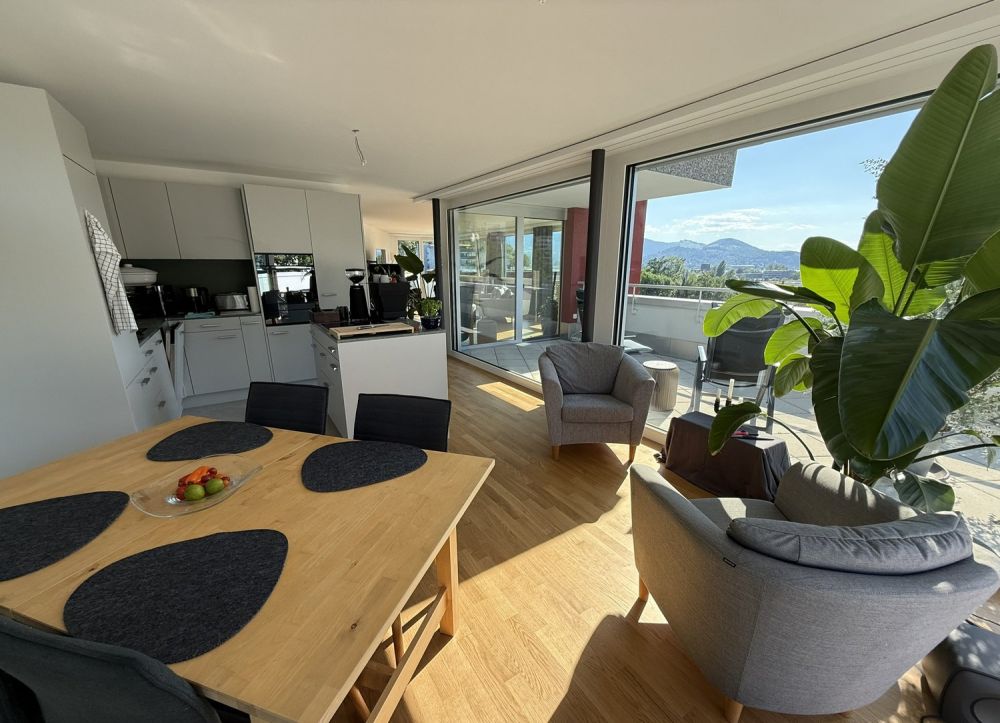BEFRISTET: Möblierte 4.5-Zimmer-Wohnung mit Dachterrasse und Aussicht in Luzern - Bild 7
