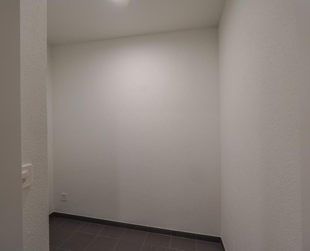 ERSTVERMIETUNG IN LIESTAL - jede Wohnung mit eigenem Waschturm - Reduit.jpg