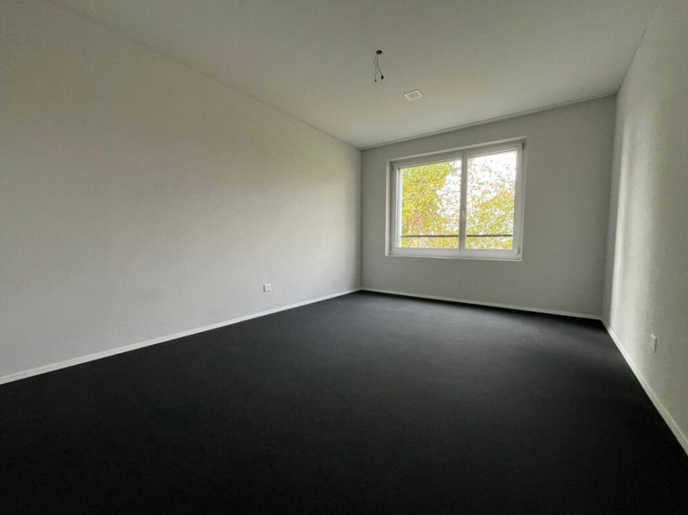 Moderne 3.5 Zimmerwohnung mitten in der Stadt und doch im Grünen - Bild 5