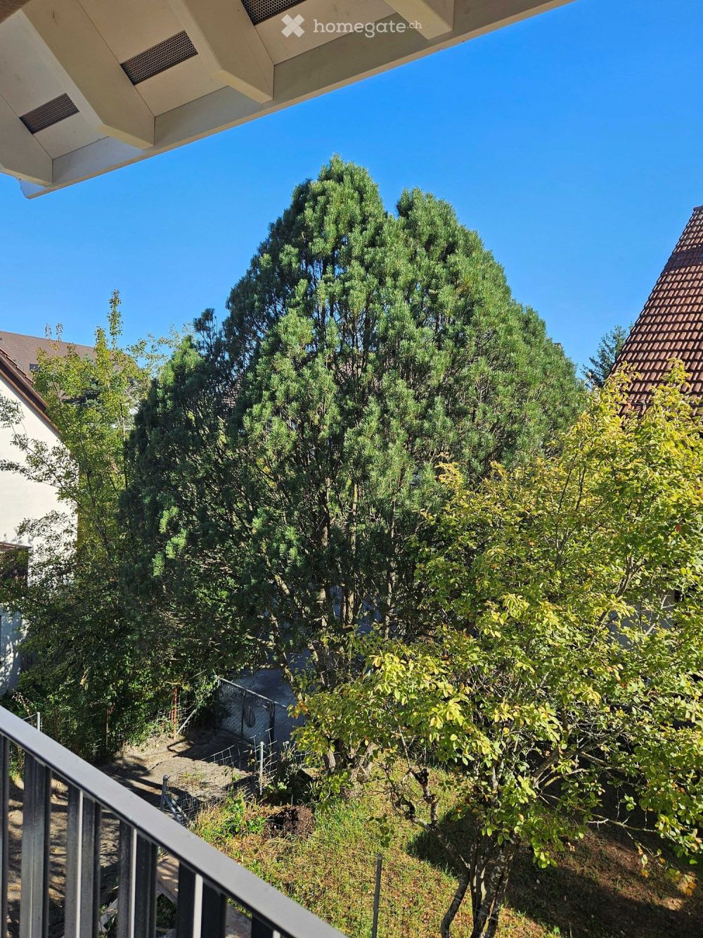 2.5-Zimmerneubauwohnung in Greifensee - Bild 1