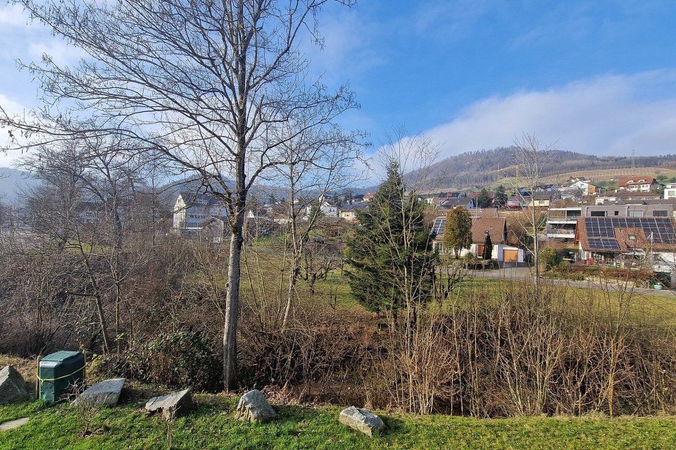 Modern wohnen fast am Dorfrand - Bild 6